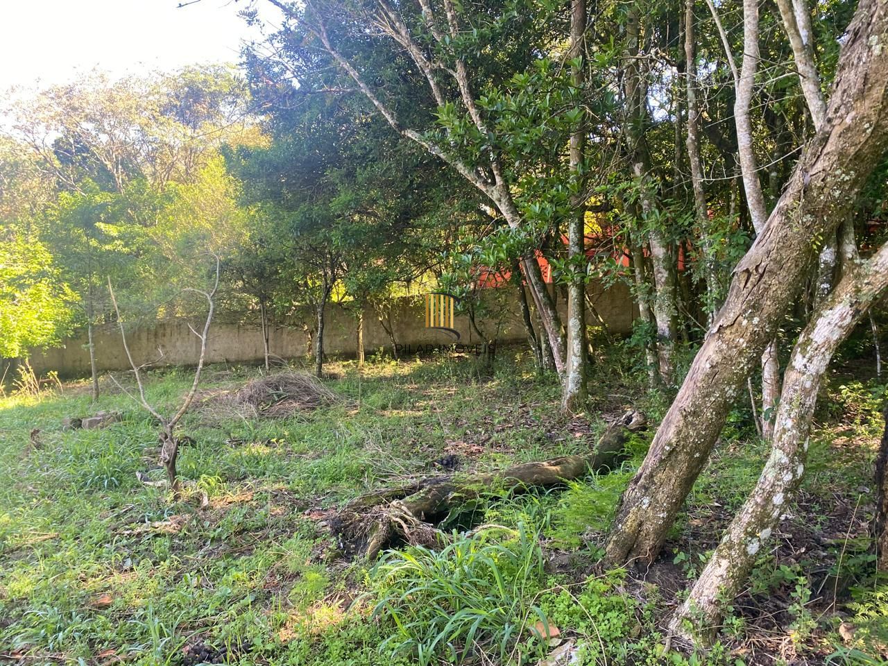 Excelente terreno!