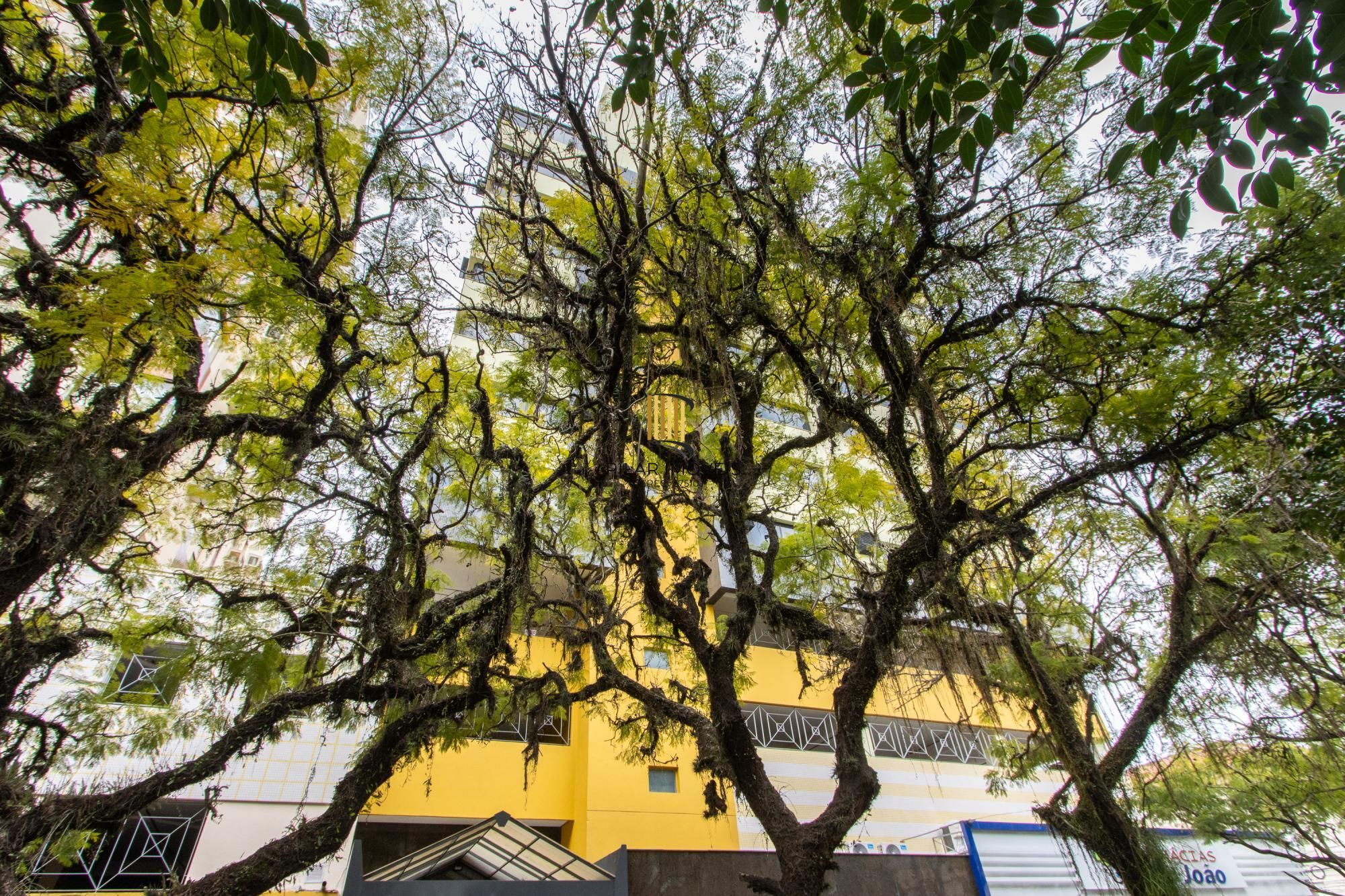 Sala Comercial 1 dormitório no bairro Menino Deus
