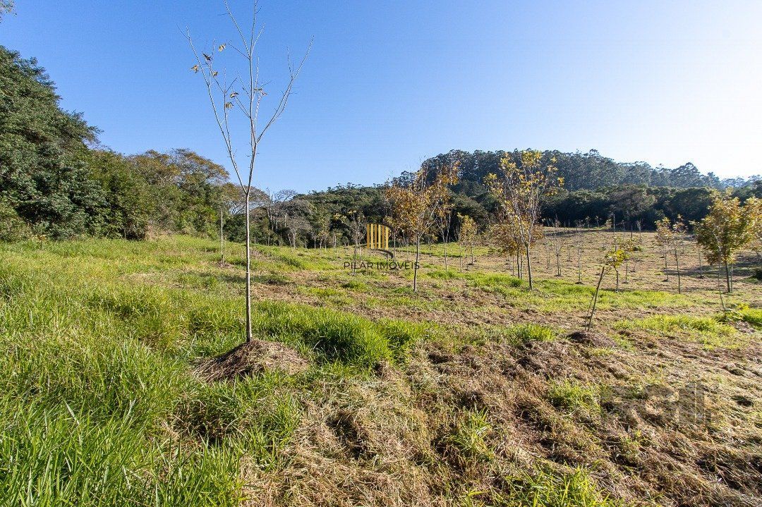 Terreno no bairro Itapuã