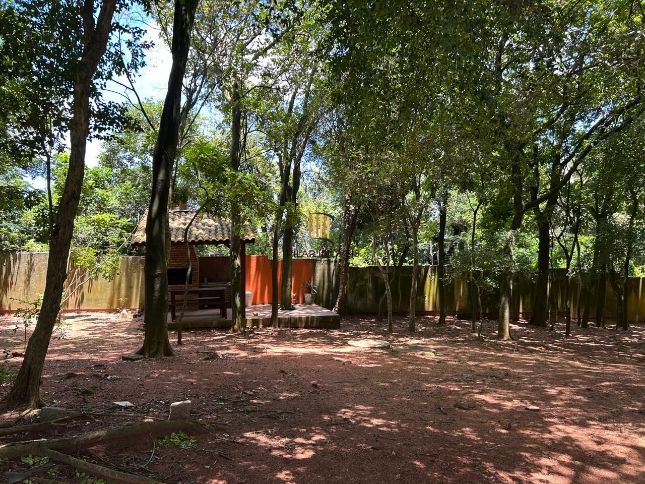 Belo apartamento, 2 quartos, elevador - Bairro Glória