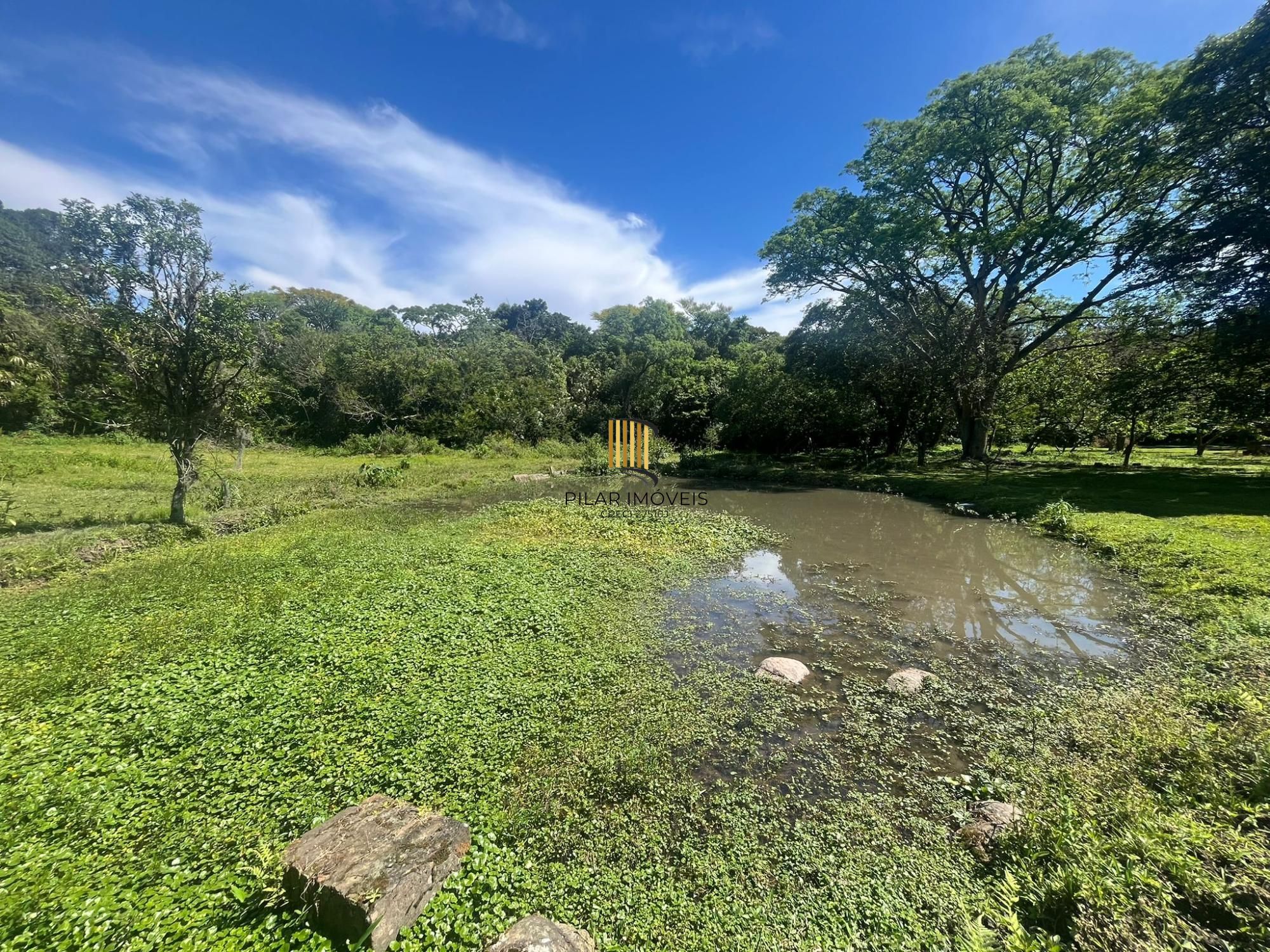 Seu refúgio na zona sul! Chácara incrível em Belém Velho – 1,5 hectare com casa encantadora e açude!