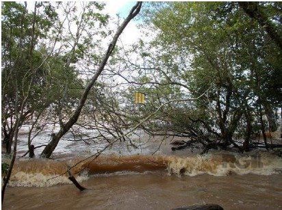 Area Bairro Ponta Grossa