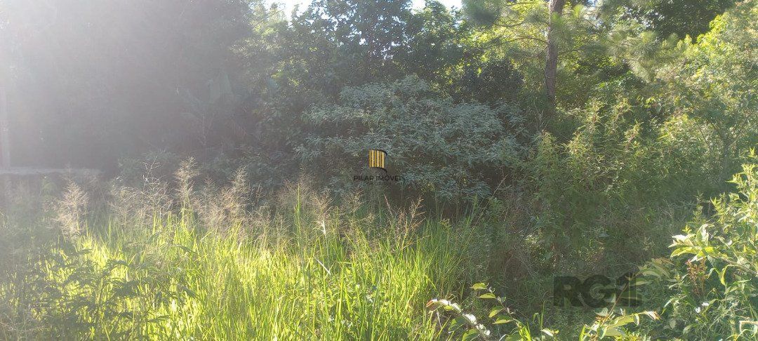 Terreno no bairro Nonoai
