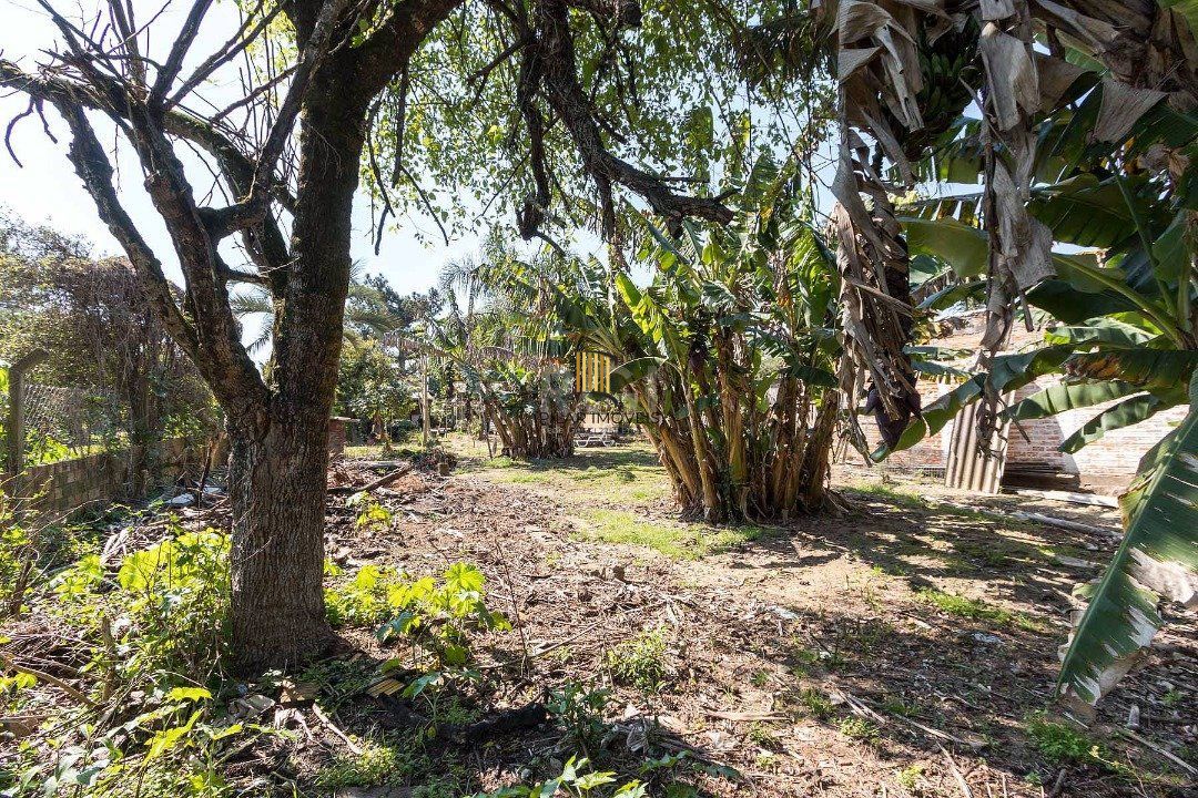 Terreno à venda em Chapéu do Sol, com área total de 345.03m².