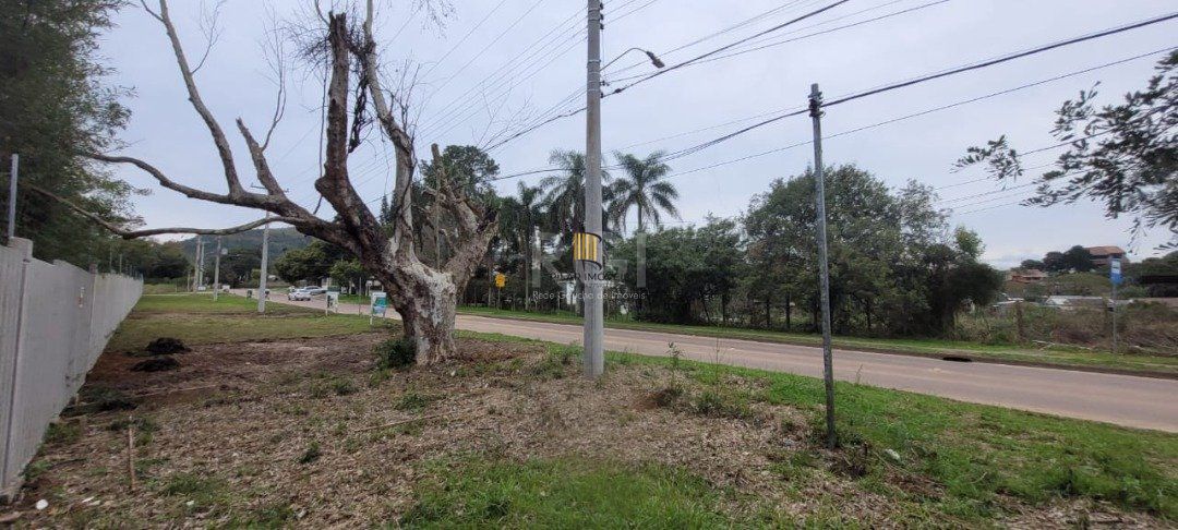 Terreno para Venda - 3.037m² no bairro Campo Novo
