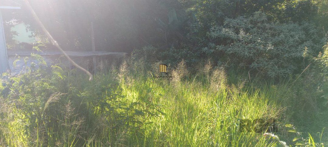 Terreno no bairro Nonoai