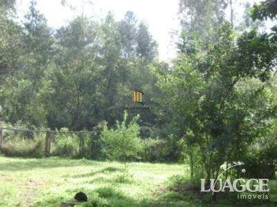 Sítio para Venda com 5000m² e 3 dormitórios no bairro Lami