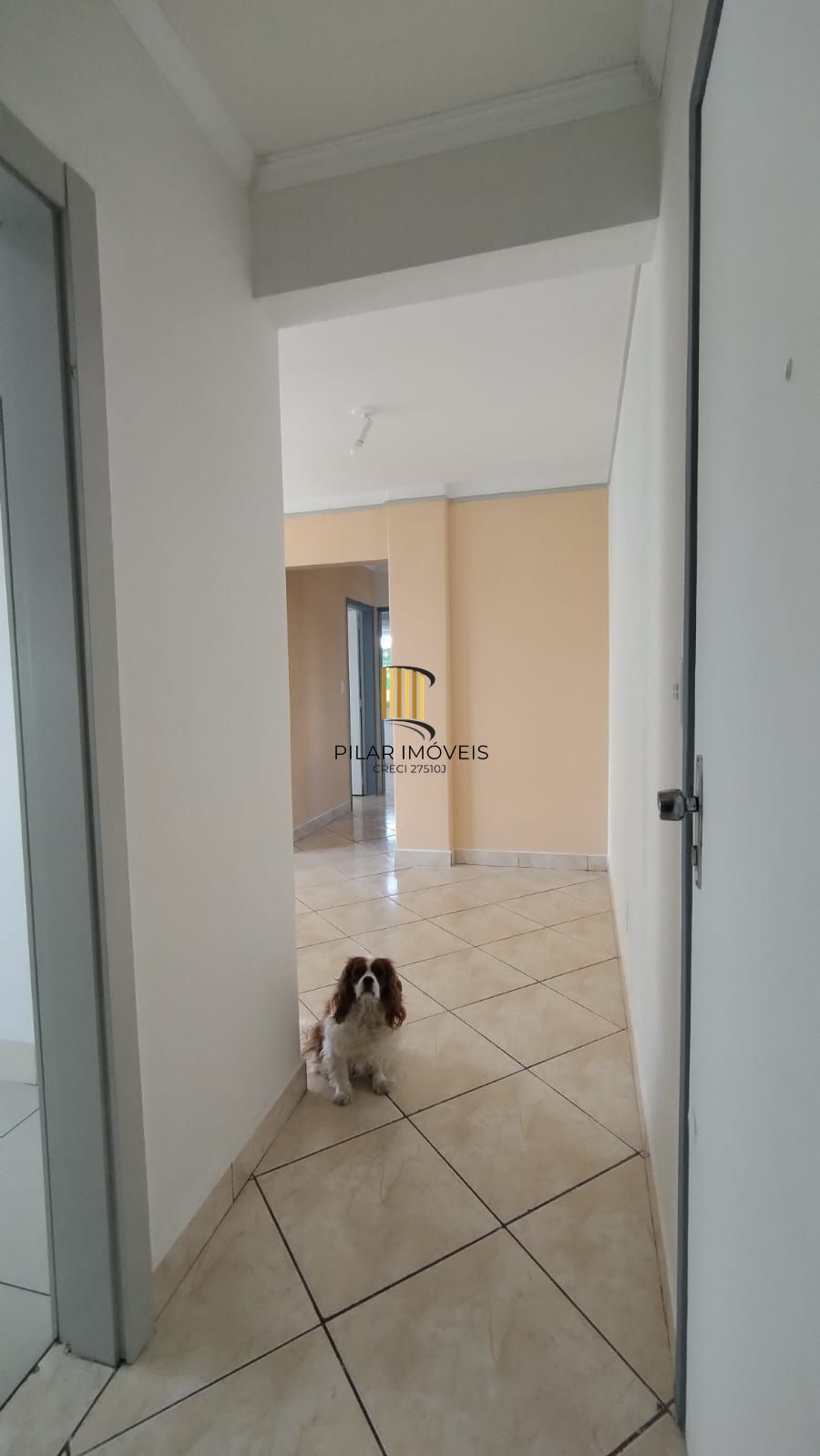 Apartamento com 3 dormitorios e Box escriturado