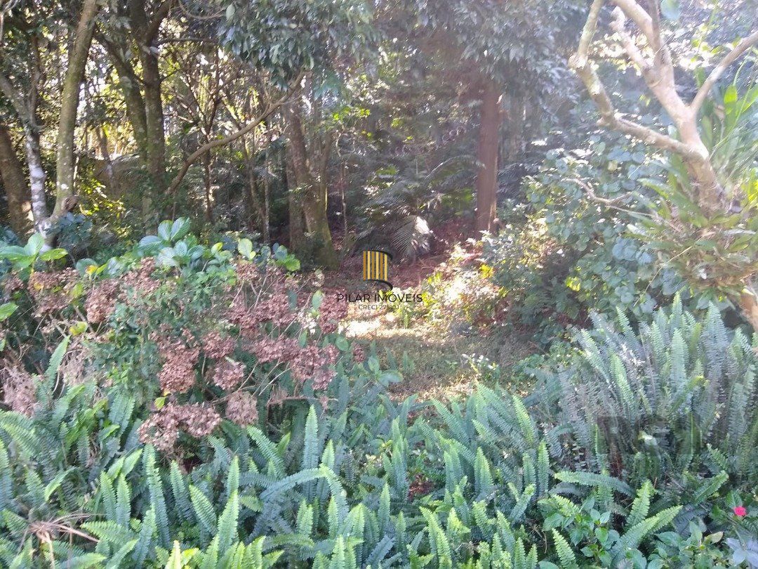 Terreno no bairro Cascata