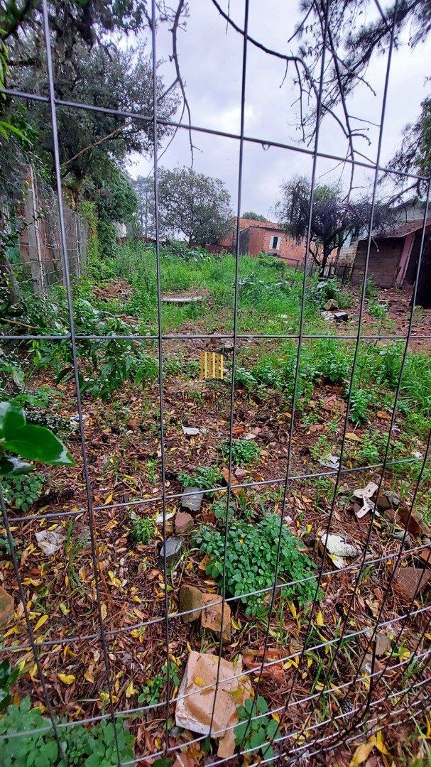 Terreno no bairro Liberdade