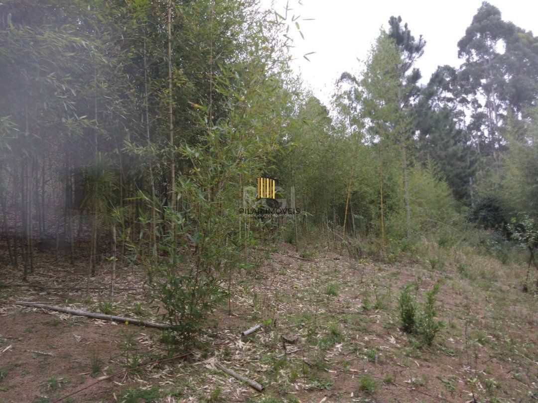 Área para Venda - 11,39ha, bairro Belém Velho
