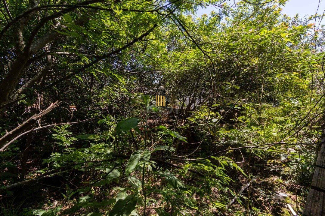Casa para Venda - 2200m², 3 dormitórios, Lomba do Pinheiro