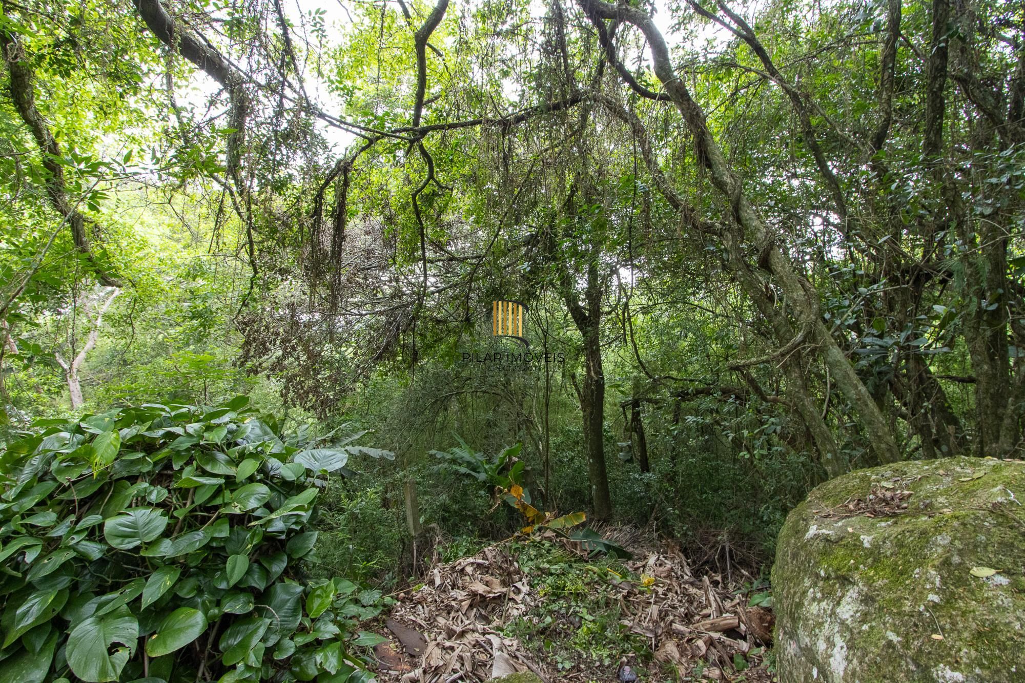 Casa térrea, nova, 3 quartos, 1 suite - Bairro Belém Velho