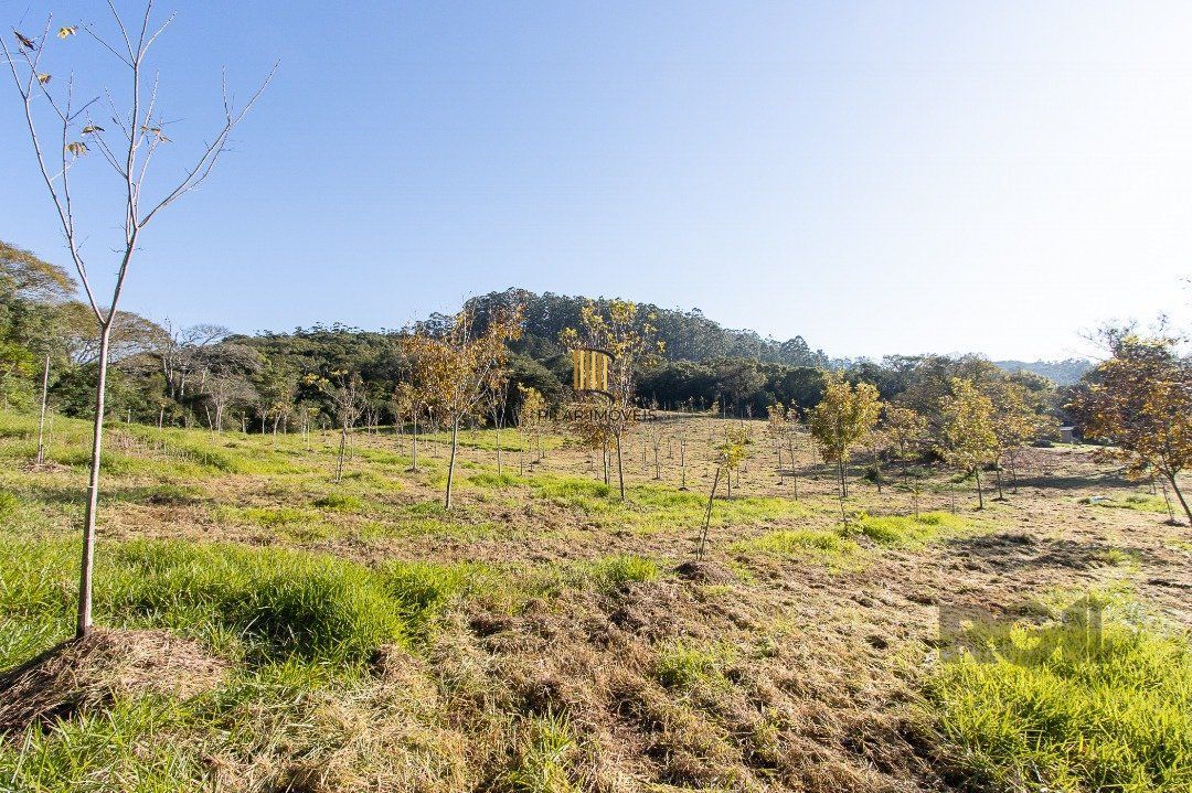 Terreno no bairro Itapuã