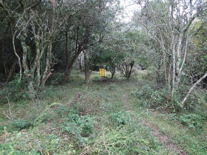 Terreno para Venda - 145.000m²,  Lami