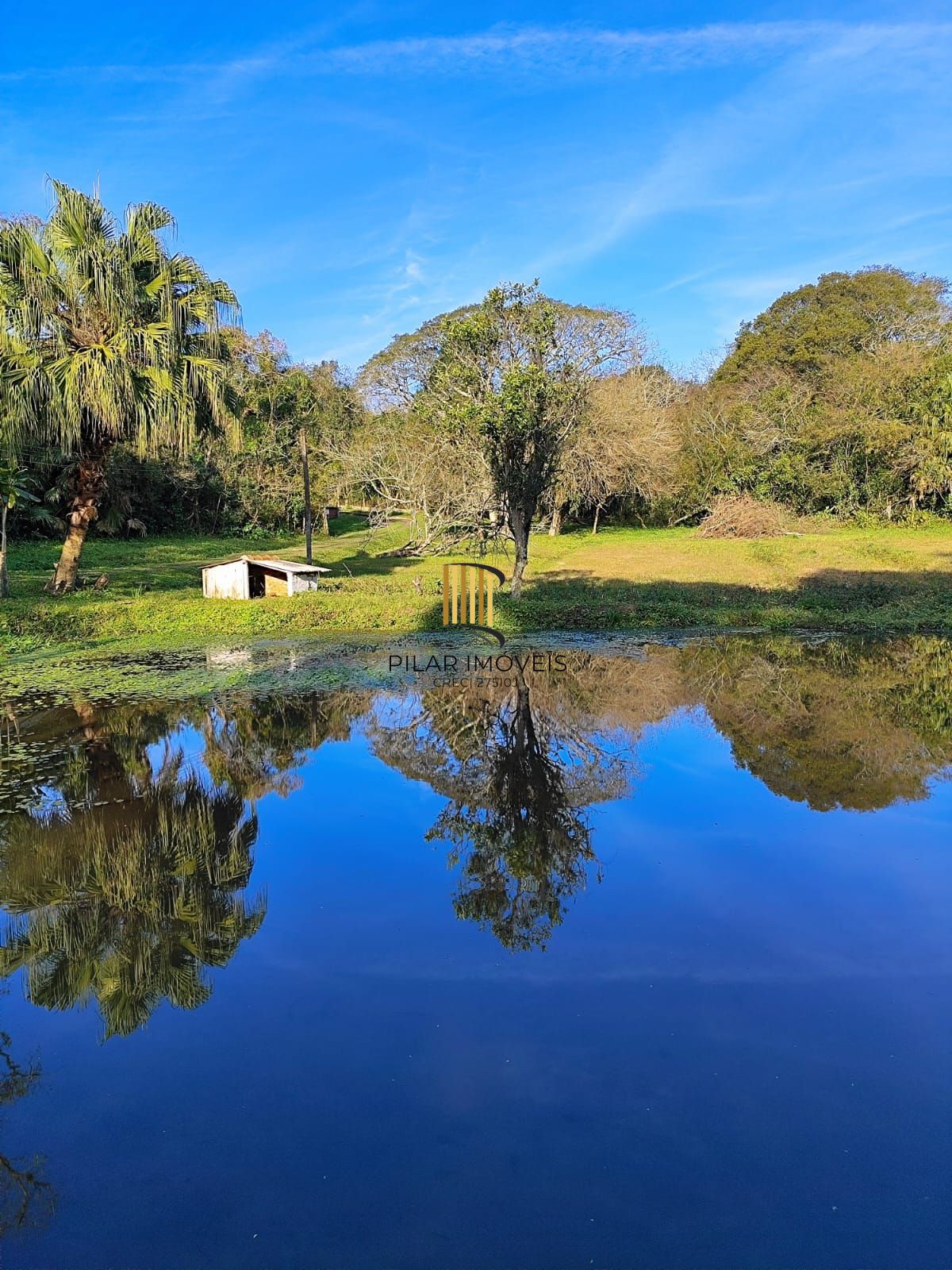 Seu refúgio na zona sul! Chácara incrível em Belém Velho – 1,5 hectare com casa encantadora e açude!