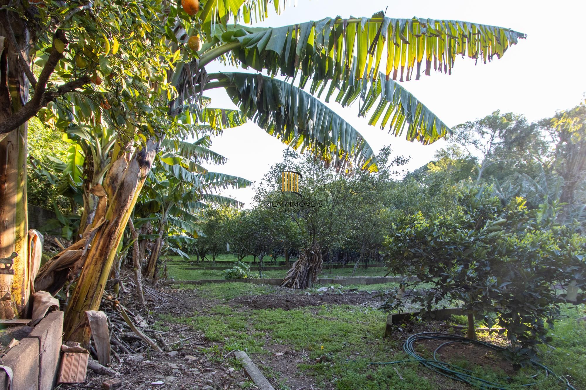 Casa Espetacular na Vila Nova – Viva como no campo, com o conforto da cidade!