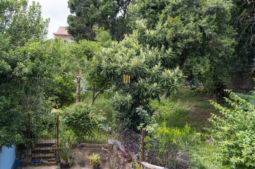 Casa, 5 dormitórios, sendo 1 suíte, 312m² privativos, 8 vagas - Bairro Vila Nova