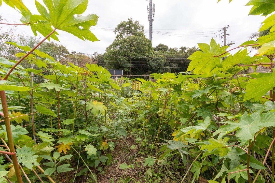 Terreno para Venda - 0m², 0 dormitórios, Vila Assunção