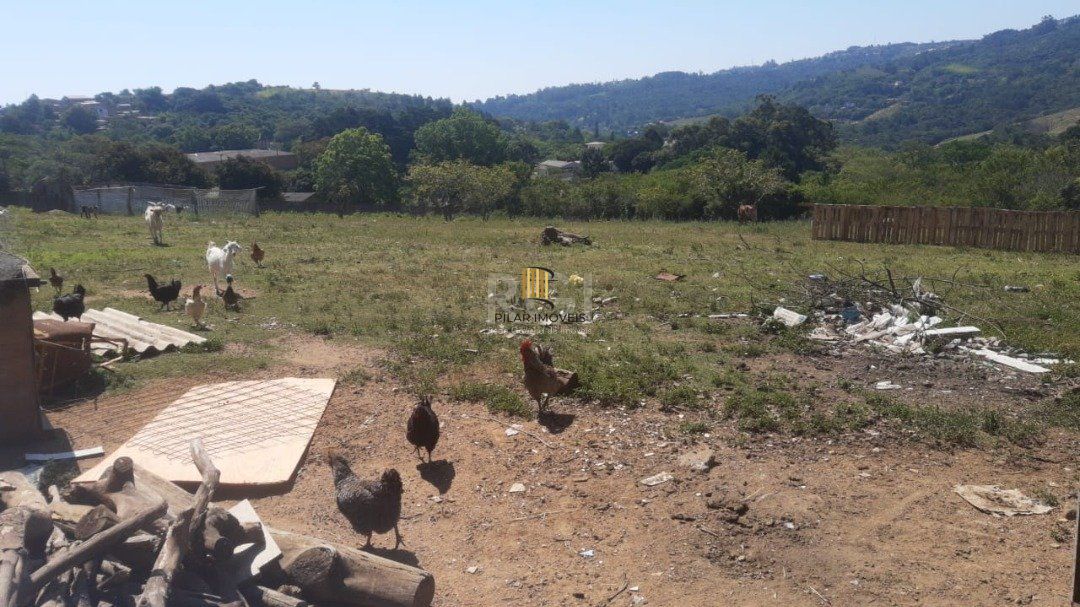 Sítio para Venda - 2658m², 0 dormitórios, Vila Nova