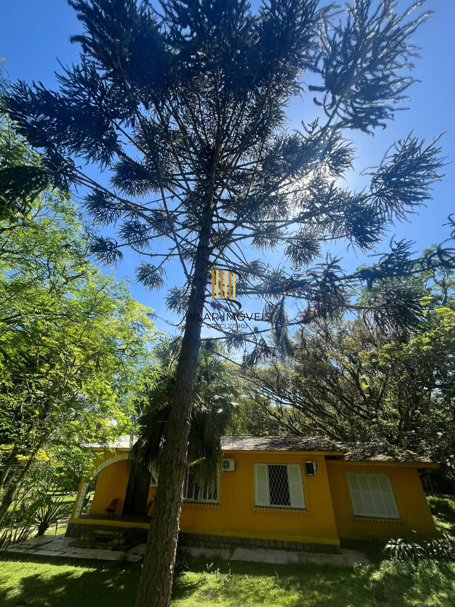 Seu refúgio na zona sul! Chácara incrível em Belém Velho – 1,5 hectare com casa encantadora e açude!