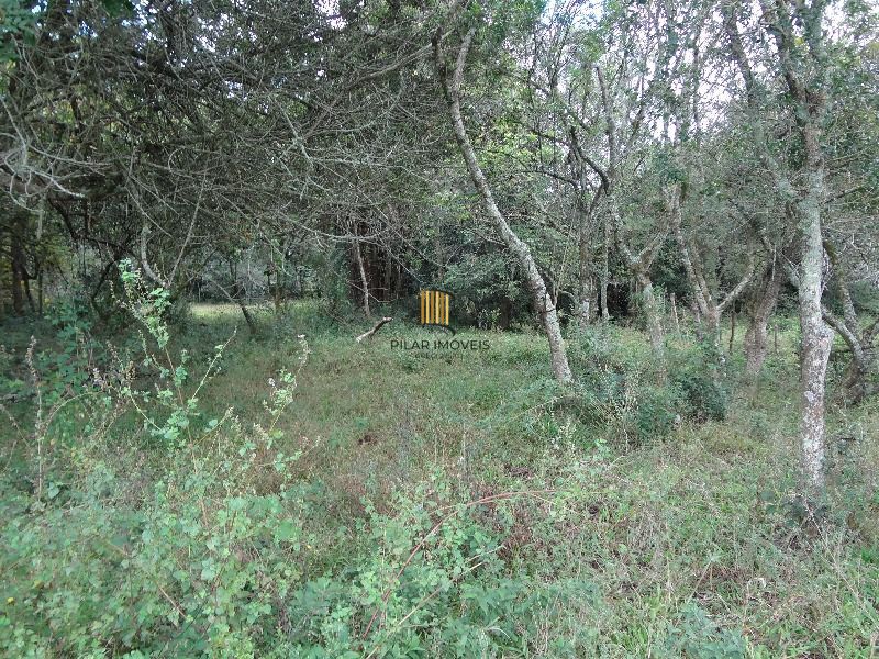 Terreno para Venda - 145.000m²,  Lami