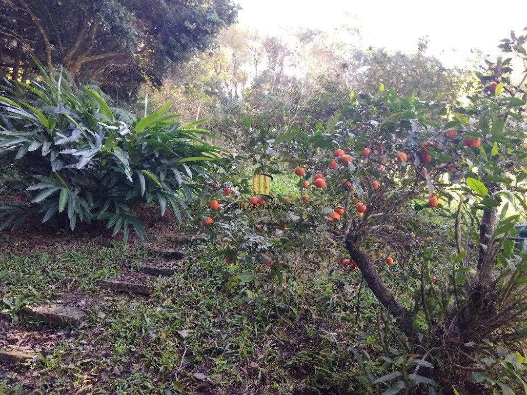 Terreno no bairro Cascata