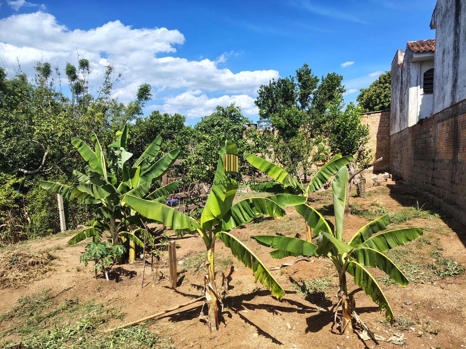 Casa térrea no bairro Vila Nova.