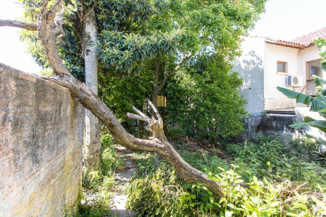 Casa 4 dormitórios no bairro Tristeza