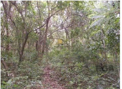 Area Bairro Ponta Grossa