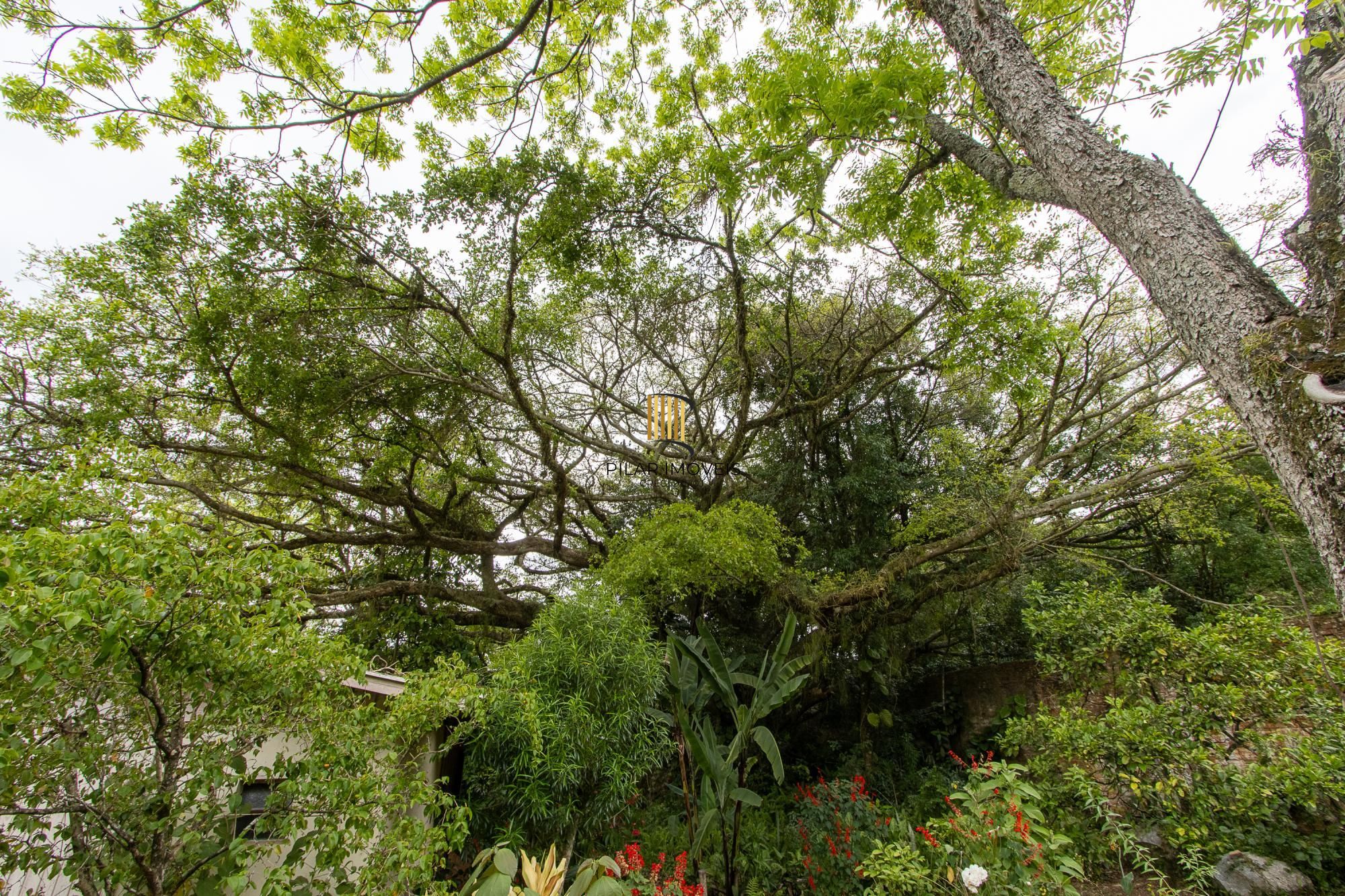 Casa térrea, nova, 3 quartos, 1 suite - Bairro Belém Velho