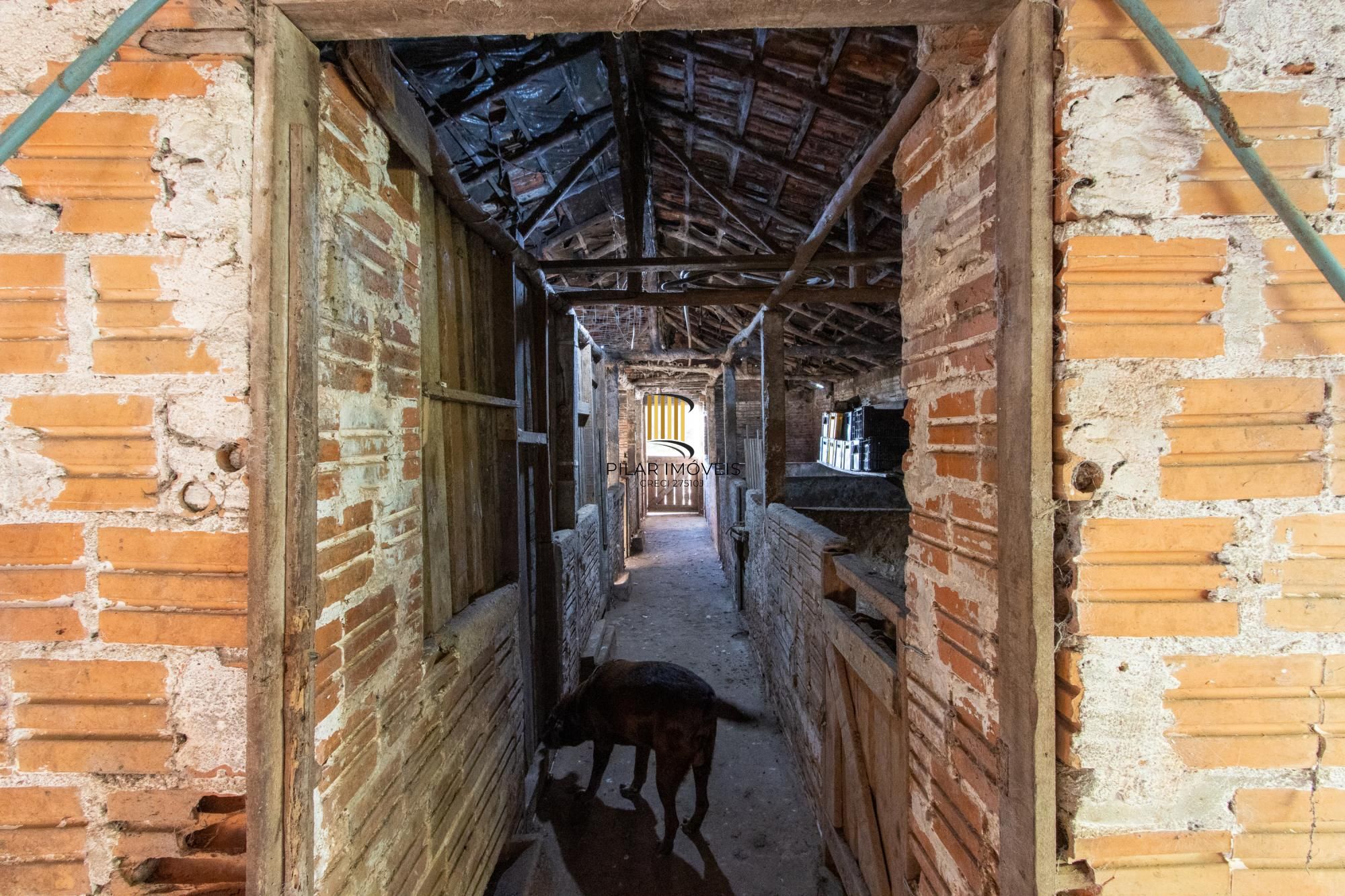 Sítio 3 dormitórios no bairro Estância Grande
