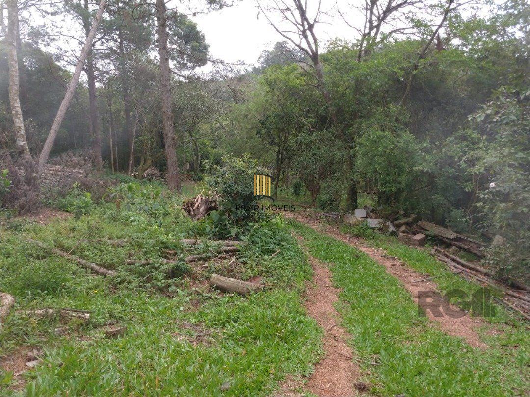 Área 4,69ha | Bairro Belém Velho
