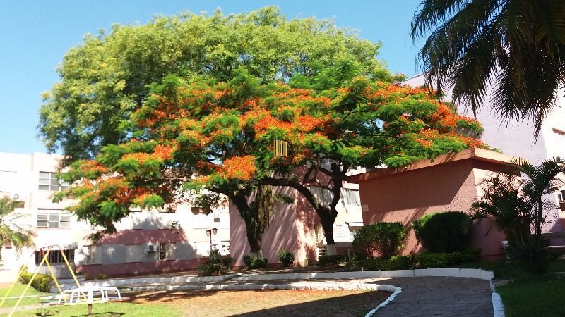 Apartamento para Venda - 59.47m², 2 dormitórios, Tristeza