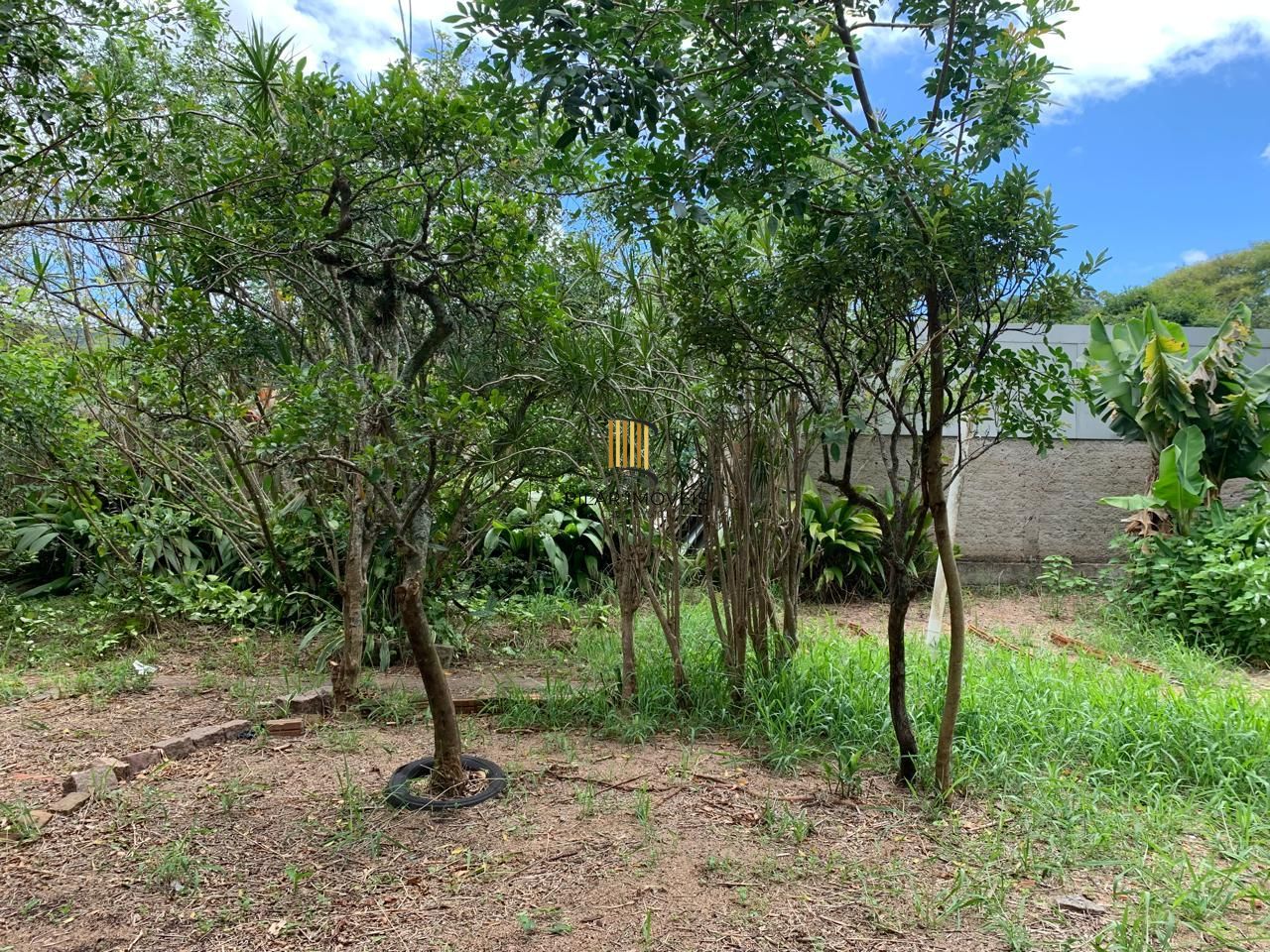 Sossego e natureza em Porto Alegre: 3 quartos, piscina e quase 2000m² de área