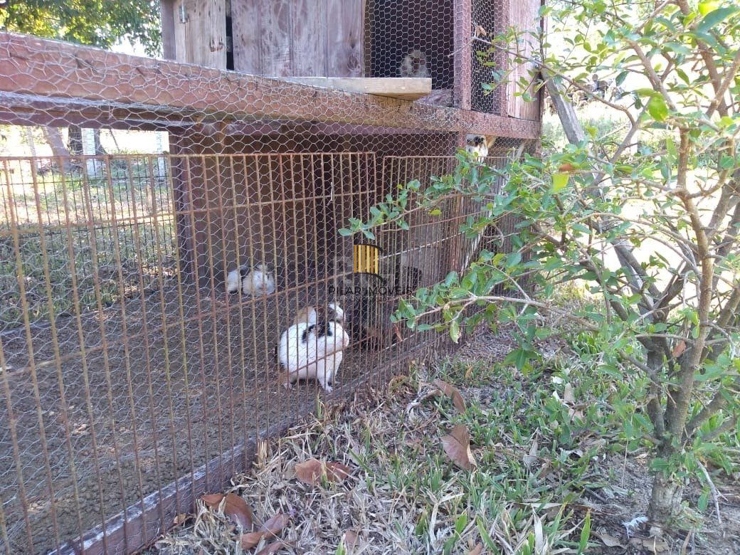 Sítio para Venda - 240m², 4 dormitórios, Itapuã