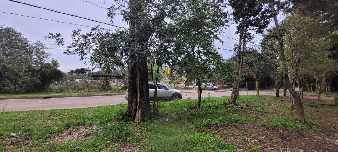 Terreno para Venda - 3.037m² no bairro Campo Novo