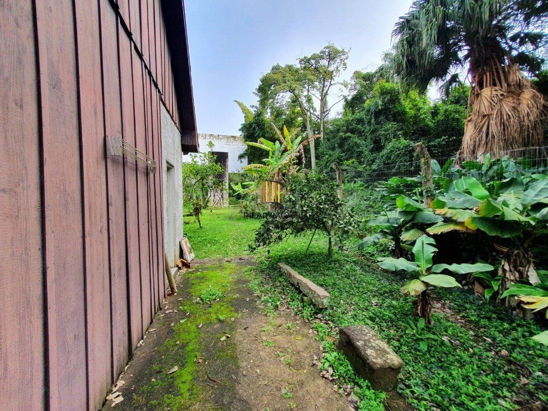 DOIS GRANDES TERRENOS localizados
