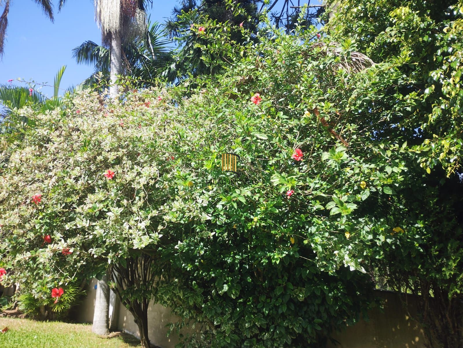 Casa 3 quantos com suíte, espaço gourmet, na Tristeza.