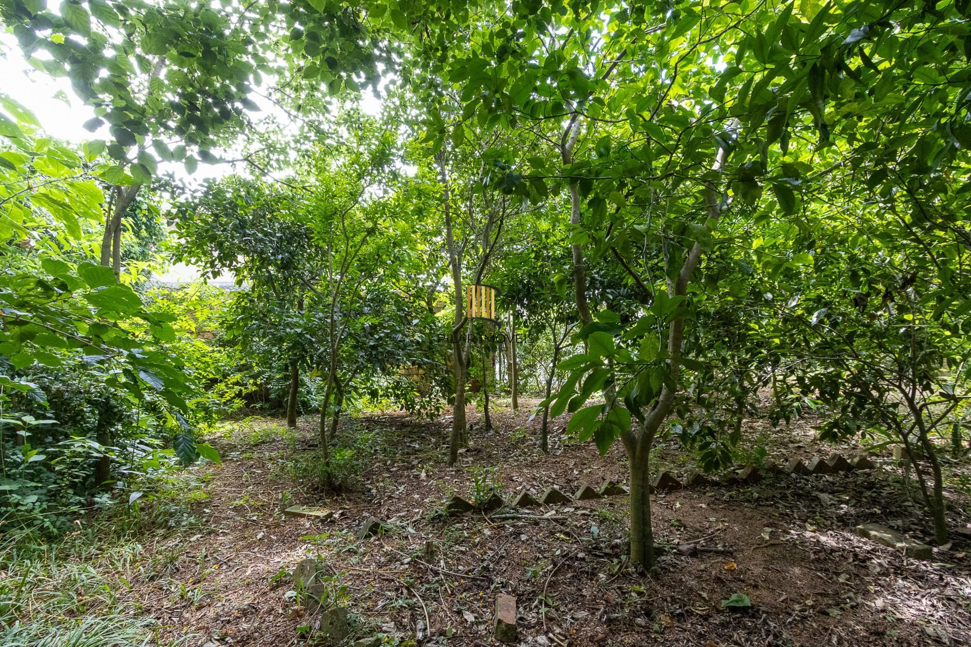 Bela casa térrea, 2 dormitórios e 1 suite - Parte alta do Bairro Espirito Santos