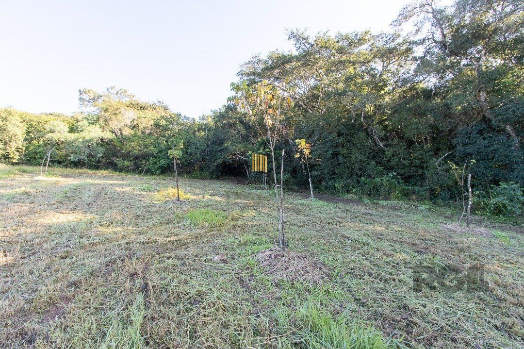 Terreno no bairro Itapuã
