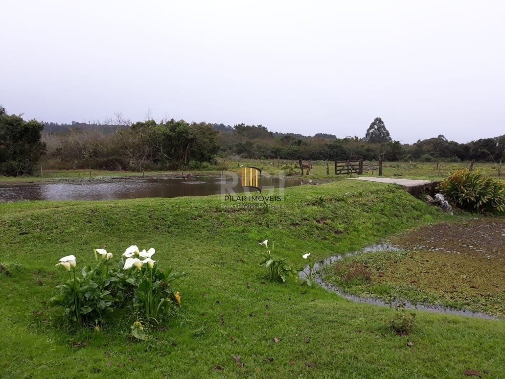 Sítio para Venda - 40685m², 0 dormitórios, Lami