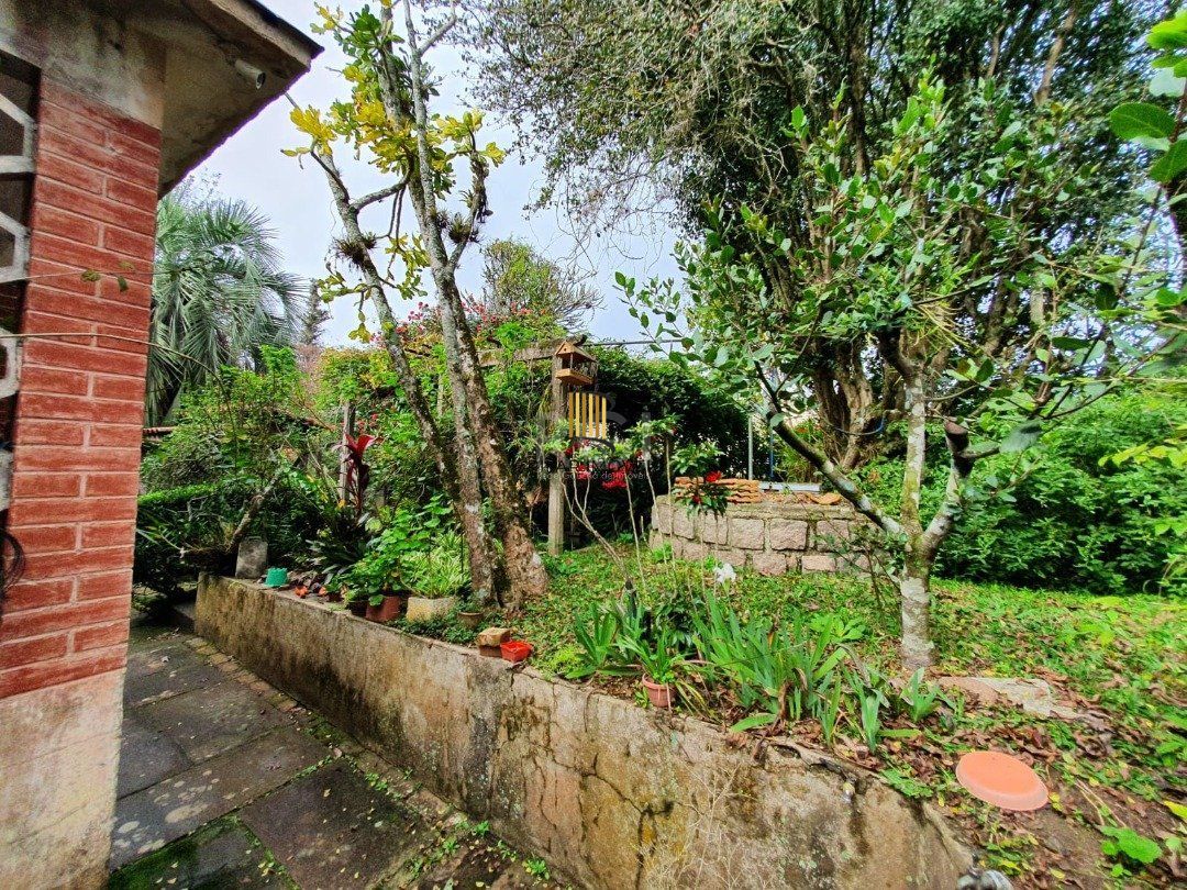 DOIS GRANDES TERRENOS localizados