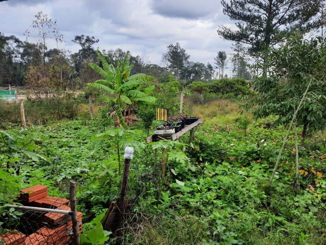 Casa 1 dormitório no bairro Lageado