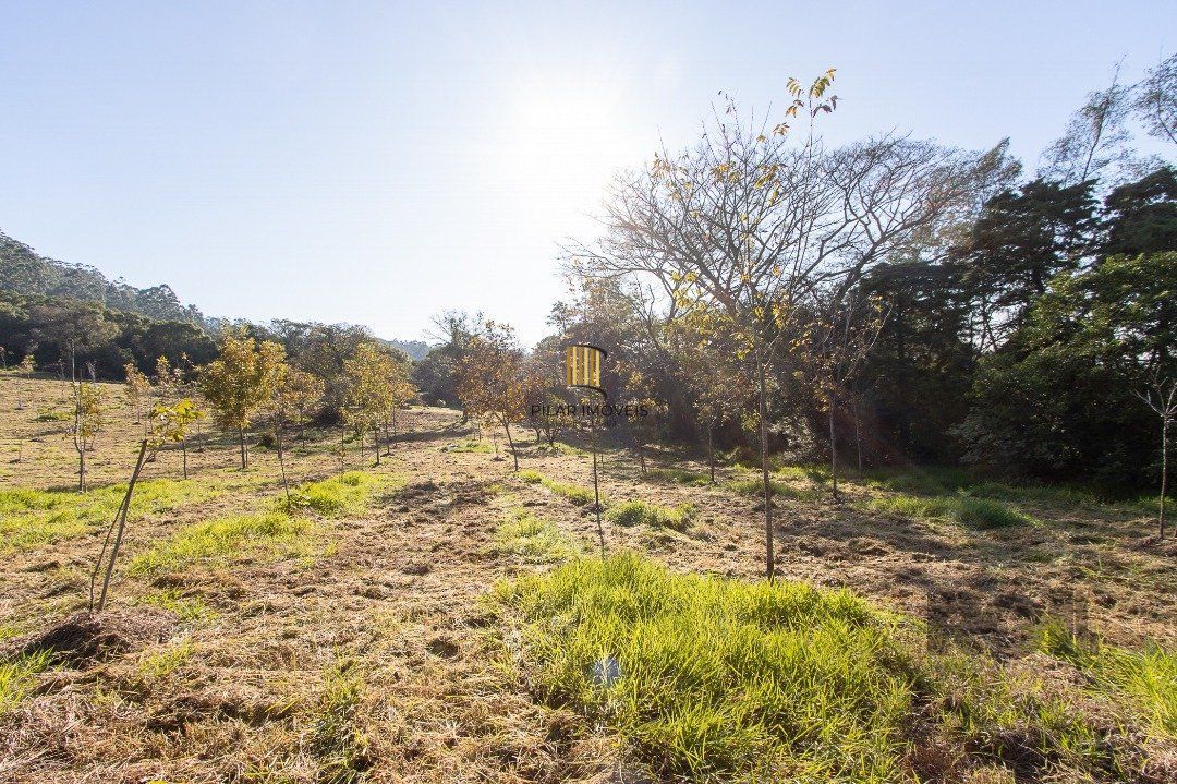 Terreno no bairro Itapuã