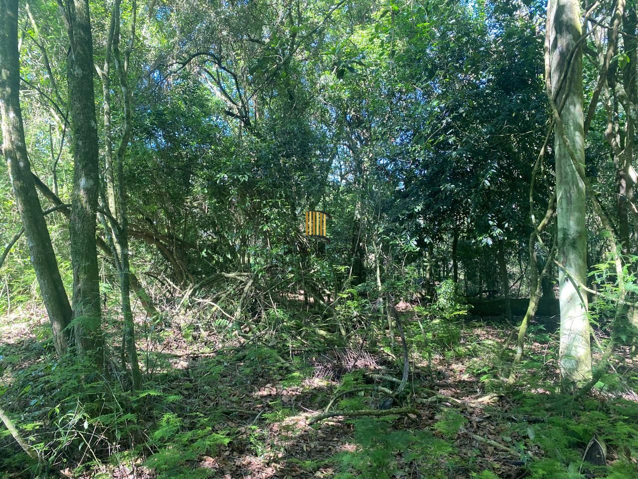 Excelente terreno!