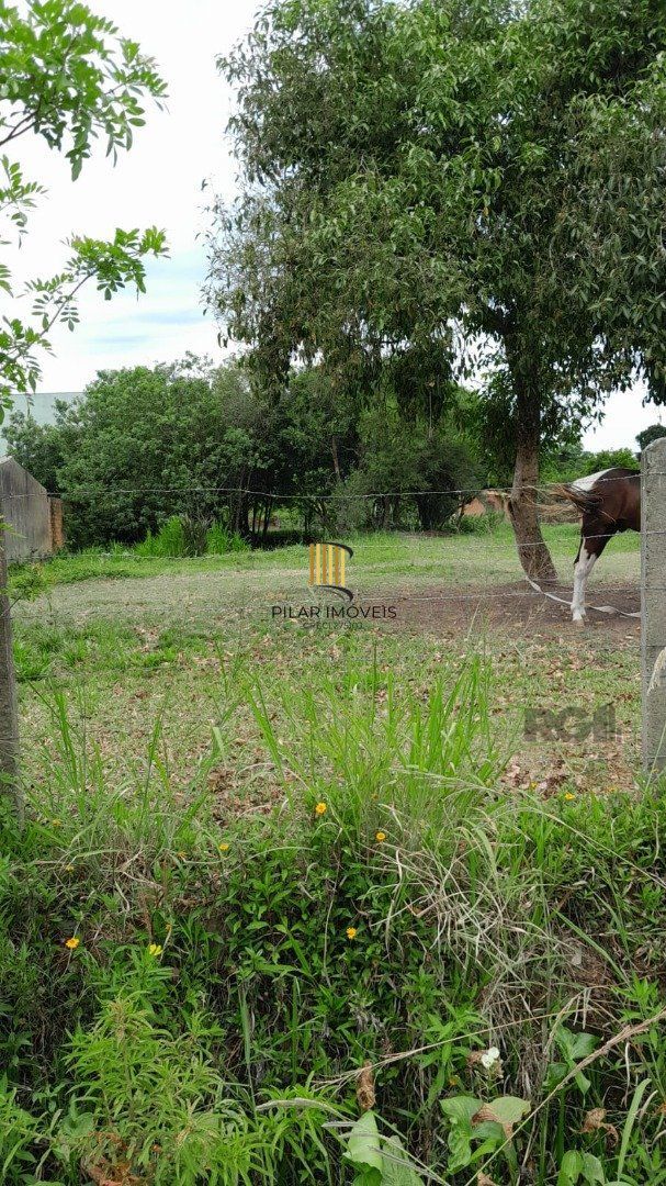 Terreno com 1.000m² , dimensões de 20x50,
