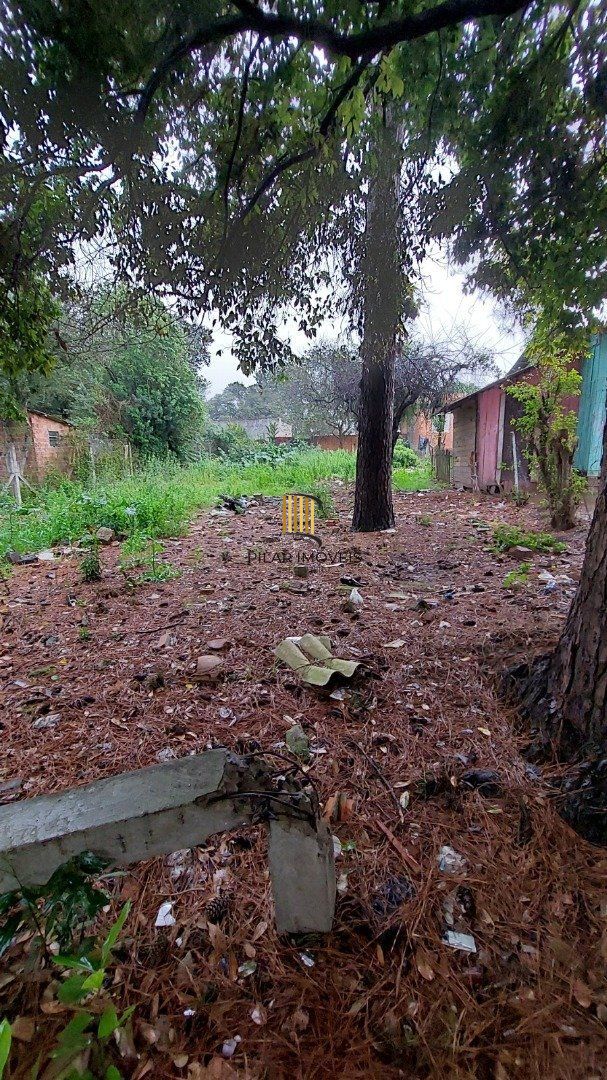 Terreno no bairro Liberdade
