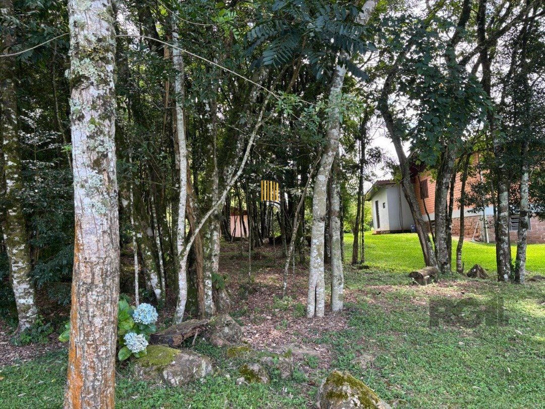 Lindo Sitio 5,4 ha a 7km do Lago Negro