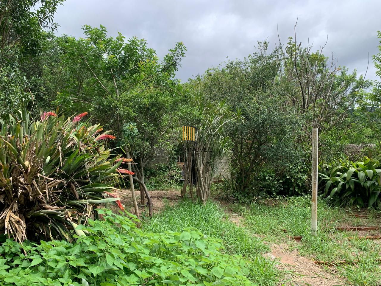 Sossego e natureza em Porto Alegre: 3 quartos, piscina e quase 2000m² de área